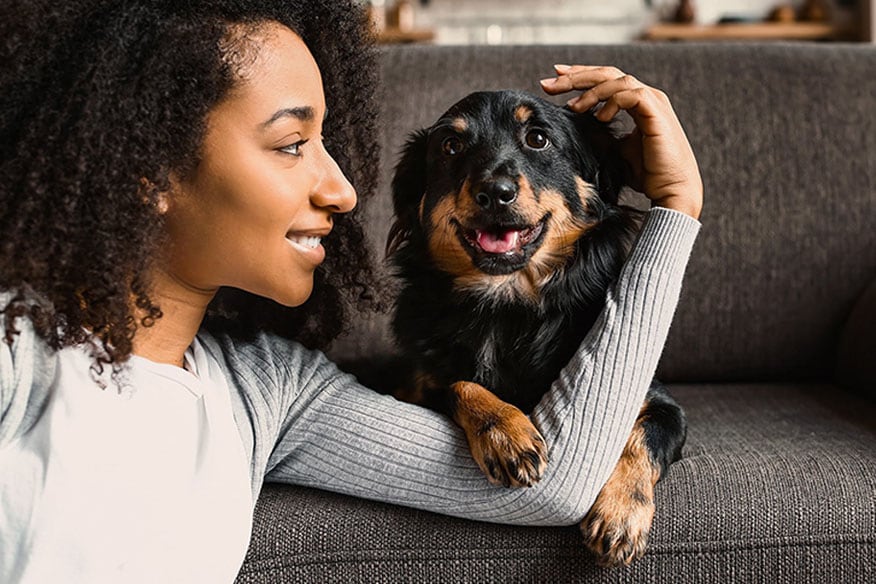 a person on a sofa with a dog